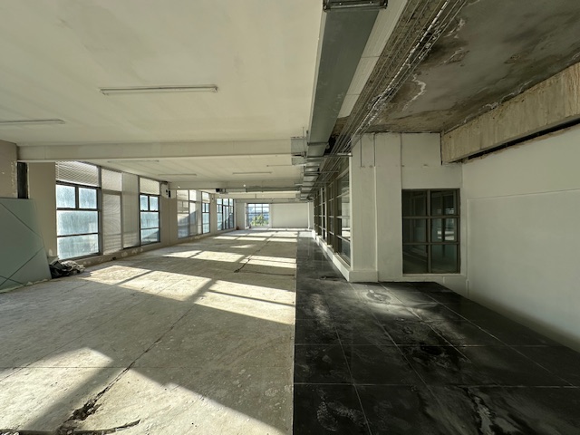 To Let commercial Property for Rent in Woodstock Western Cape